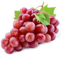 uva-roja.png