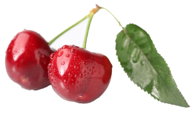 CEREZA-7.png